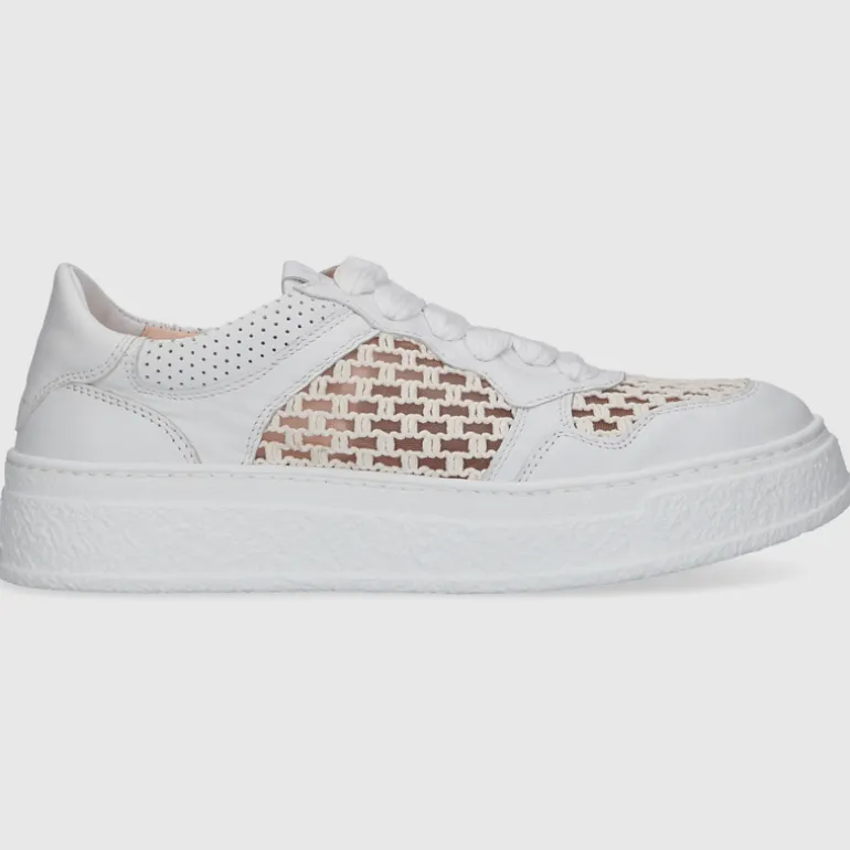 AGL Attilio Giusti Leombruni Damen SNEAKER D946006PGK7765G502 WEISS