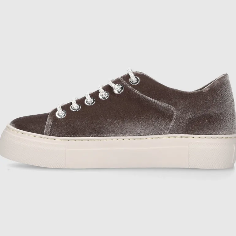 AGL Attilio Giusti Leombruni Damen Damenschuhe D925282 Samt grau-kombi